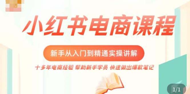 小红书电商新手入门到精通实操课，从入门到精通做爆款笔记，开店运营-无双资源网