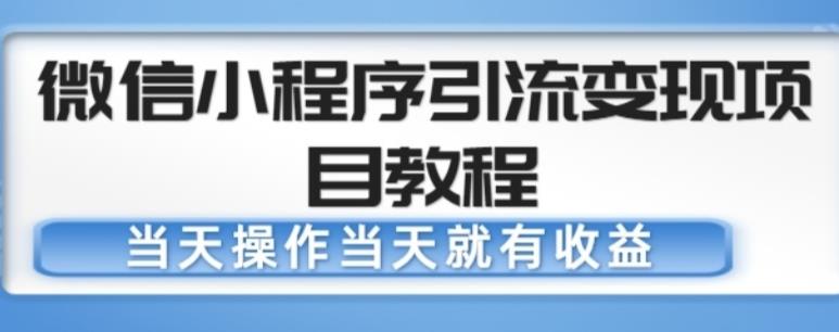 微信小程序引流变现项目教程，当天操作当天就有收益，变现不再是难事-无双资源网