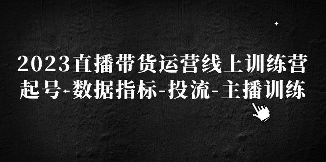 2023直播带货运营线上训练营，起号-数据指标-投流-主播训练-无双资源网