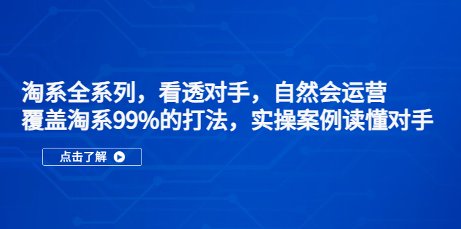 淘系全系列，看透对手，自然会运营，覆盖淘系99%·打法，实操案例读懂对手-无双资源网