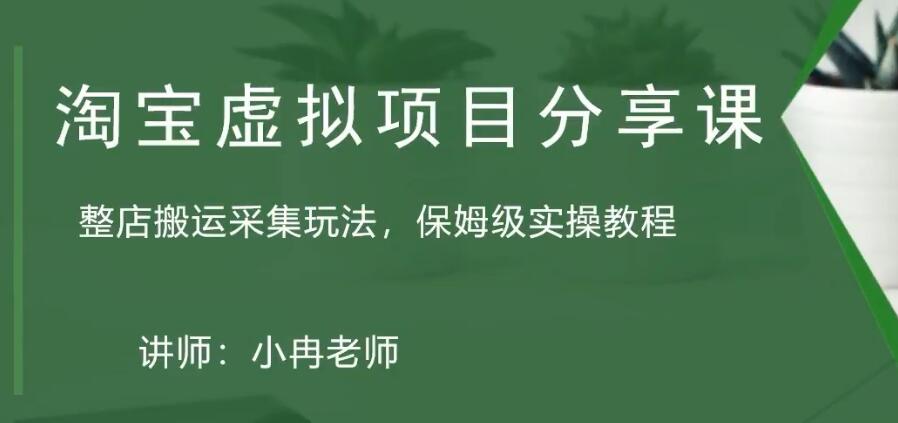 淘宝虚拟整店搬运采集玩法分享课：整店搬运采集玩法，保姆级实操教程-无双资源网