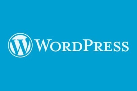 WordPress 6.1 新增必填字段相关函数和钩子-无双资源网