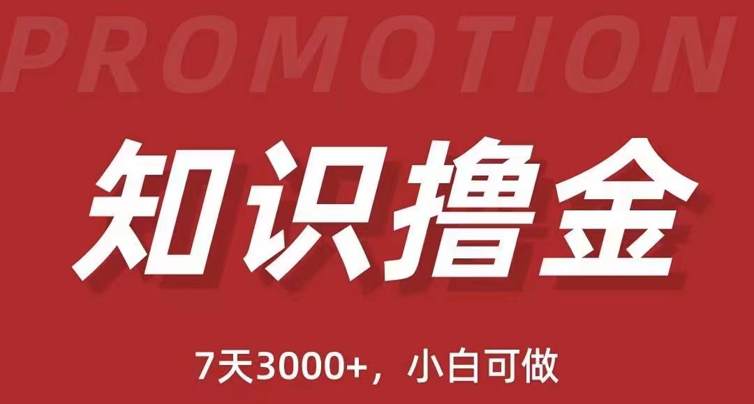 抖音知识撸金项目：简单粗暴日入1000+执行力强当天见收益(教程+资料)-无双资源网