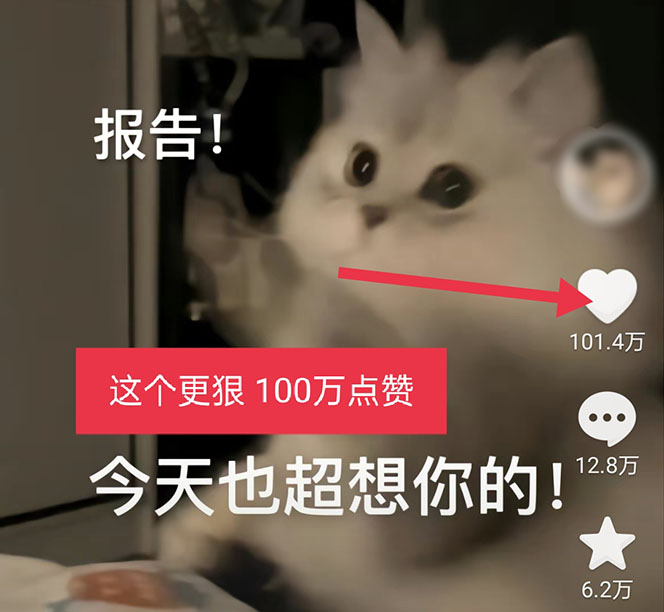 图片[6]-黑科技纯原创可爱猫咪图片，全网精准引流，实操5个VX号被加频繁-无双资源网