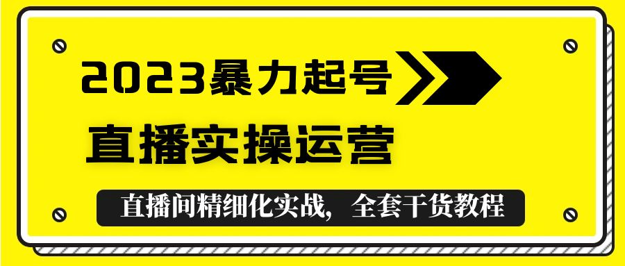 2023暴力起号+直播实操运营，全套直播间精细化实战，全套干货教程！-无双资源网