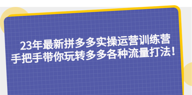 2023最新拼多多实操运营训练营：手把手带你玩转多多各种流量打法！-无双资源网