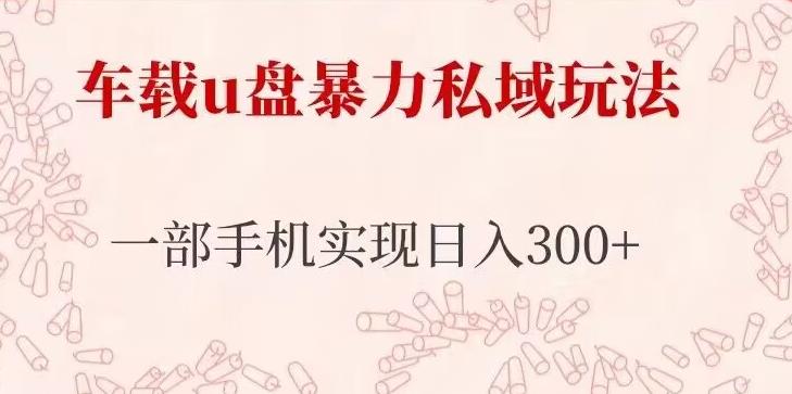 车载u盘暴力私域玩法，长期项目，仅需一部手机实现日入300+-无双资源网