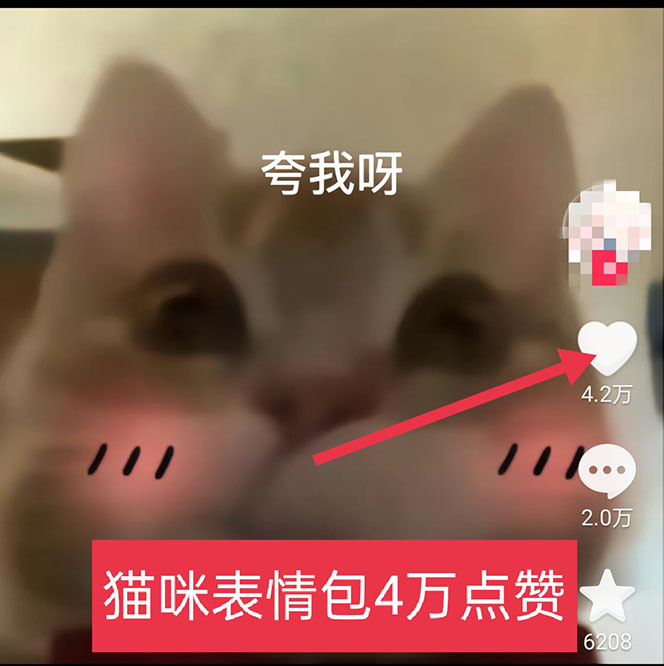 图片[7]-黑科技纯原创可爱猫咪图片，全网精准引流，实操5个VX号被加频繁-无双资源网