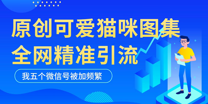 黑科技纯原创可爱猫咪图片，全网精准引流，实操5个VX号被加频繁-无双资源网