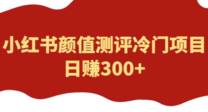 外面1980的项目，小红书颜值测评冷门项目，日赚300+【揭秘】-无双资源网