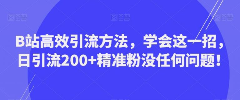 B站高效引流方法，学会这一招，日引流200+精准粉没任何问题【揭秘】-无双资源网