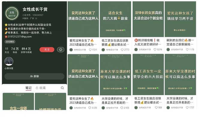 图片[2]-小红书各行业引流玩法，从养号到制作到引流等，一条龙分享给你-无双资源网