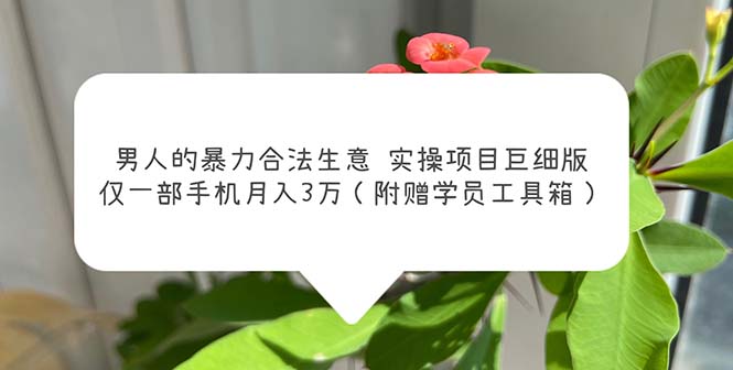 男人的暴力合法生意实操项目巨细版：仅一部手机月入3w（附赠学员工具箱）-无双资源网