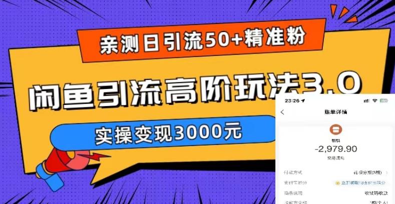 实测日引50+精准粉，闲鱼引流高阶玩法3.0，实操变现3000元-无双资源网