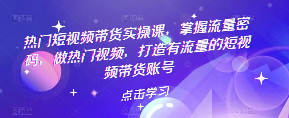 热门短视频带货实战 掌握流量密码 做热门视频 打造有流量的短视频带货账号-无双资源网