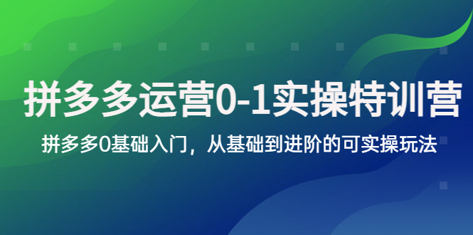 拼多多-运营0-1实操训练营，拼多多0基础入门，从基础到进阶的可实操玩法-无双资源网