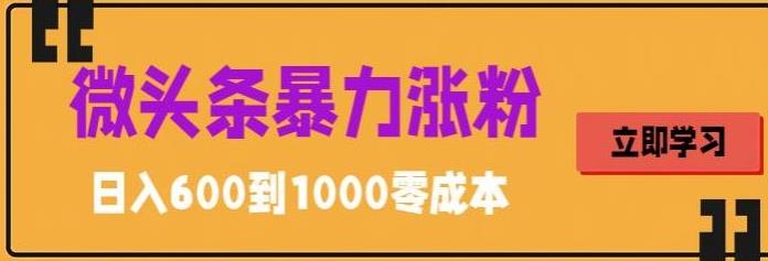 微头条暴力涨粉技巧搬运文案就能涨几万粉丝，简单0成本，日赚600-无双资源网