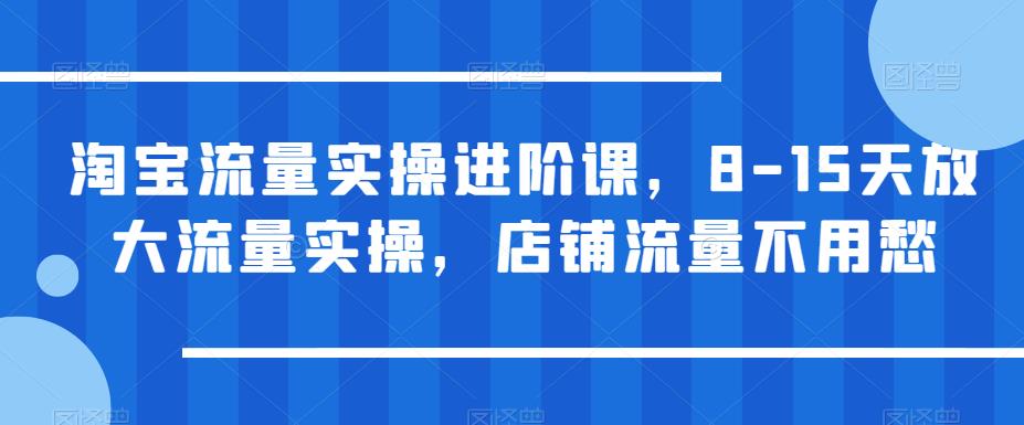 【百度网盘】淘宝流量实操进阶课，8-15天放大流量实操，店铺流量不用愁-无双资源网