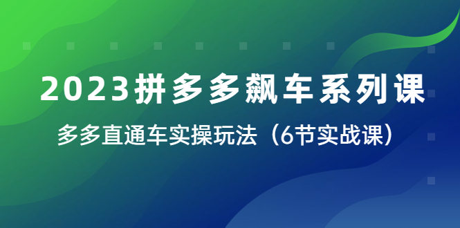 2023拼多多飙车系列课，多多直通车实操玩法（6节实战课）-无双资源网