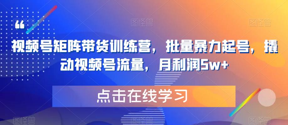 视频号矩阵带货训练营，批量暴力起号，撬动视频号流量，月利润5w+-无双资源网