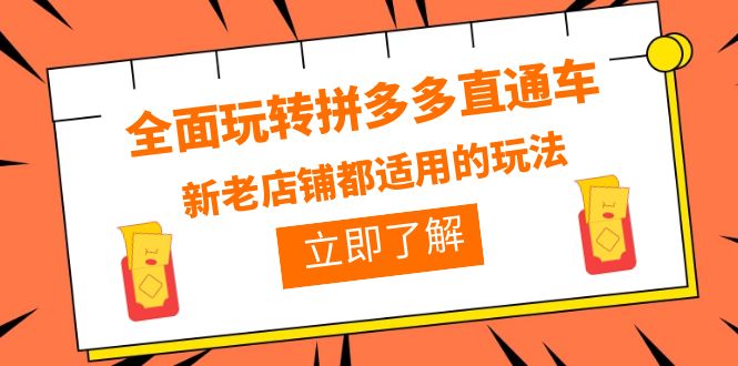 【百度网盘】全面玩转拼多多直通车，新老店铺都适用的玩法（12节精华课）-无双资源网