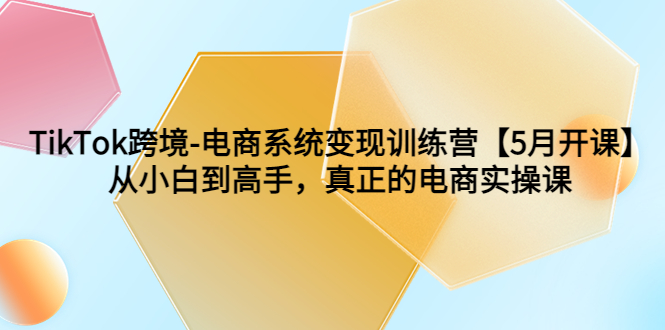 TikTok跨境-电商系统变现训练营【5月新课】从小白到高手，真正的电商实操课-无双资源网