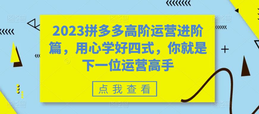 2023拼多多高阶运营进阶篇，用心学好四式，你就是下一位运营高手-无双资源网