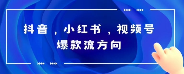 抖音，小红书，视频号爆款流视频制作，简单制作掌握流量密码-无双资源网