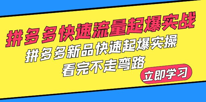 拼多多-快速流量起爆实战，拼多多新品快速起爆实操，看完不走弯路-无双资源网