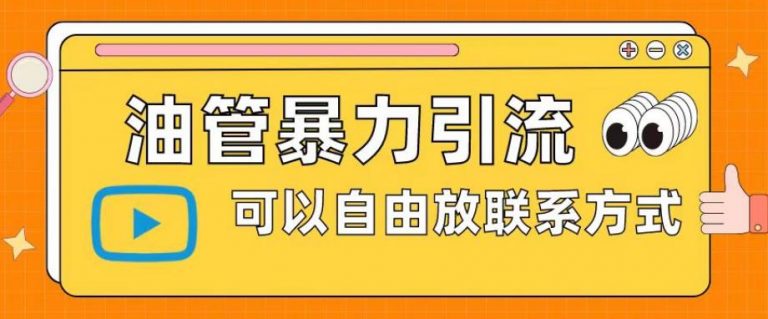 油管暴力引流，可以自由放联系方式【揭秘】-无双资源网