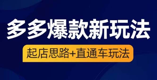 2023拼多多爆款·新玩法：起店思路+直通车玩法（3节精华课）-无双资源网