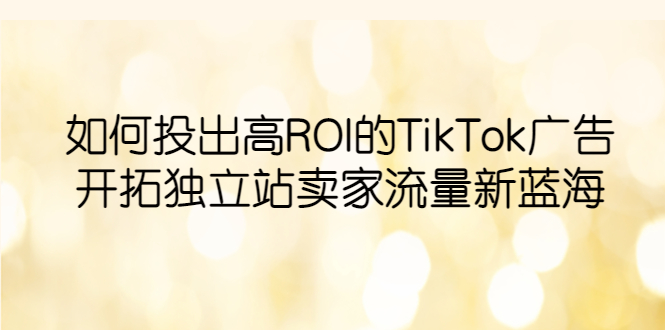 如何投出高ROI·TikTok广告，开拓独立站卖家流量新蓝海-无双资源网