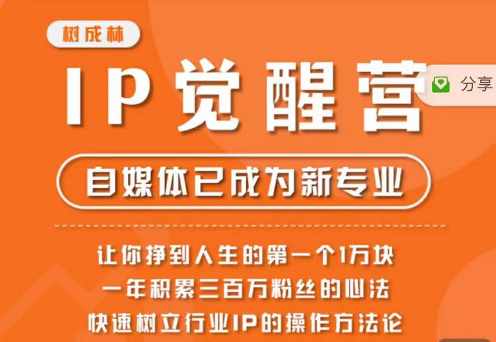 【百度网盘】树成林·IP觉醒营，快速树立行业IP的操作方法论，让你赚到人生的第一个1万块-无双资源网