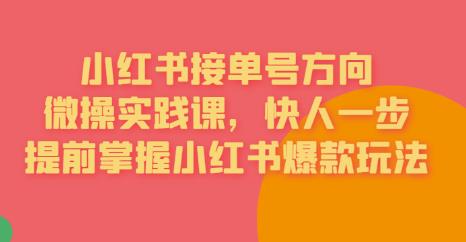 【百度网盘】接单号方向·小红书微操实践课，快人一步，提前掌握小红书爆款玩法-无双资源网