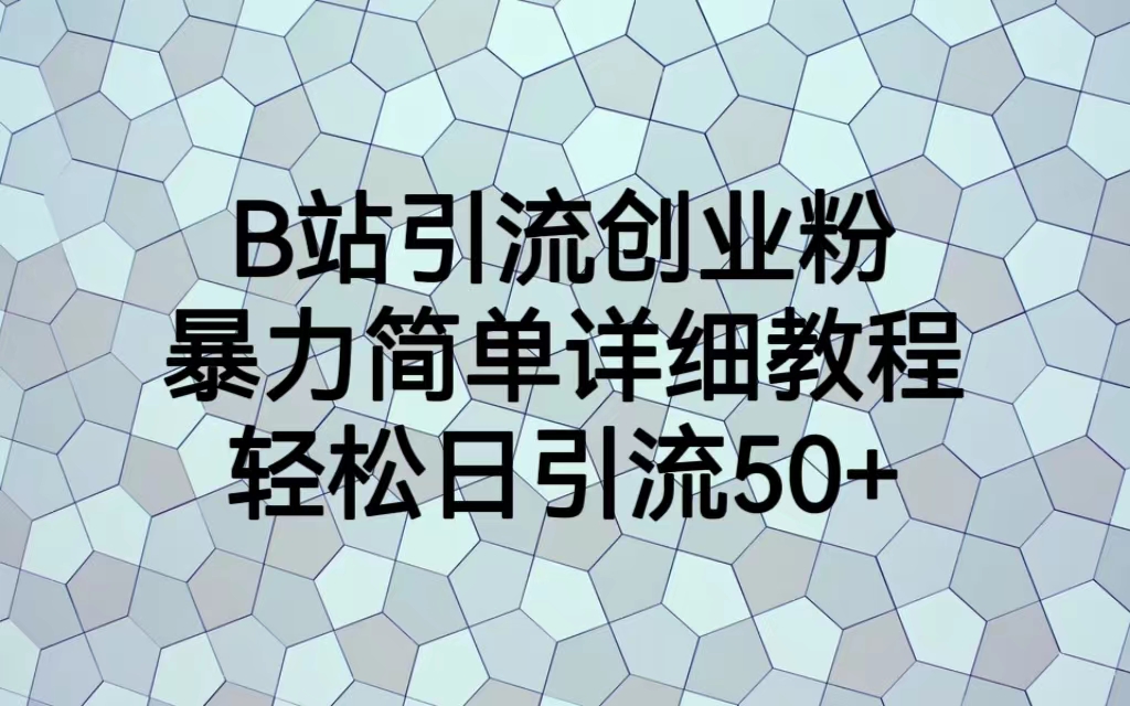 【百度网盘】B站引流创业粉，暴力简单详细教程，轻松日引流50+-无双资源网