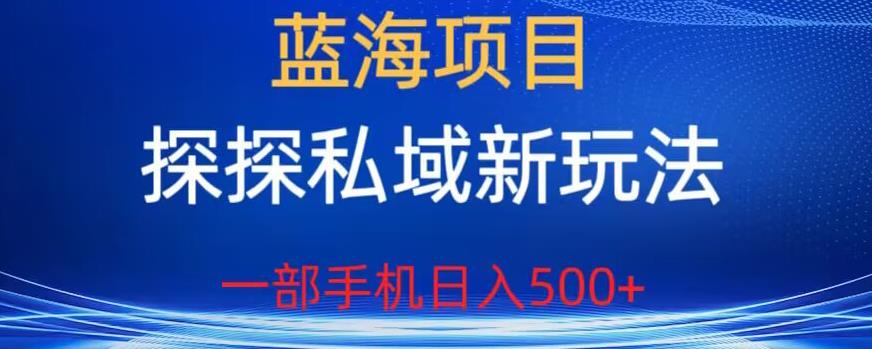 【百度网盘】蓝海项目，探探私域新玩法，一部手机日入500+很轻松【揭秘】-无双资源网