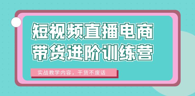 【百度网盘】短视频直播电商带货进阶训练营：实战教学内容，干货不废话！-无双资源网