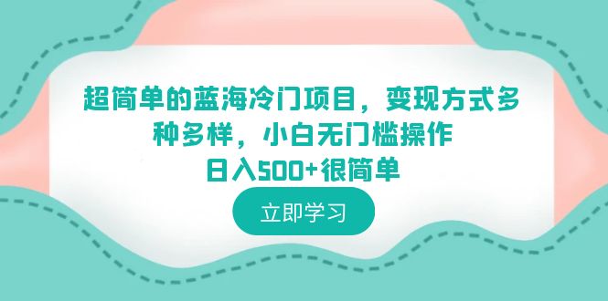 【百度网盘】超简单的蓝海冷门项目，变现方式多种多样，小白无门槛操作日入500+很简单-无双资源网