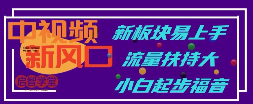 【百度网盘】中视频新风口，新板块易上手，流量扶持大，小白起步福音【揭秘】-无双资源网