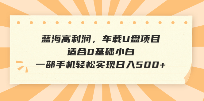 【百度网盘】蓝海高利润，车载U盘项目，适合0基础小白，一部手机轻松实现日入500+-无双资源网