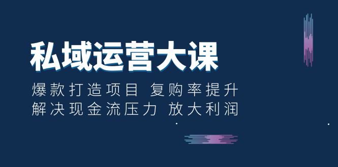 【百度网盘】私域运营大课：爆款打造项目 复购率提升 解决现金流压力 放大利润-无双资源网