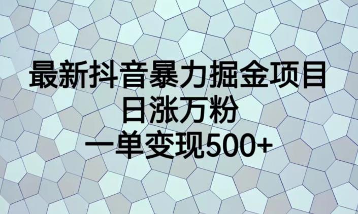 【百度网盘】最新抖音暴力掘金项目，日涨万粉，一单变现500+【揭秘】-无双资源网