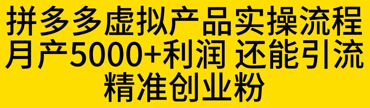 【百度网盘】拼多多虚拟产品实操流程，月产5000+利润，还能引流精准创业粉【揭秘】-无双资源网