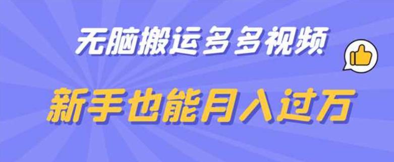 【百度网盘】无脑搬运多多视频，新手也能月入过万【揭秘】-无双资源网