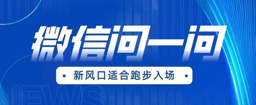 【百度网盘】全网首发微信问一问新风口变现项目（价值1999元）【揭秘】-无双资源网