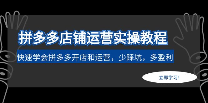 拼多多店铺运营实操教程：快速学会拼多多开店和运营，少踩坑，多盈利-无双资源网