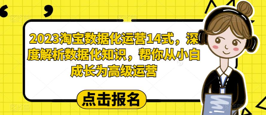 【百度网盘】2023淘宝数据化-运营 14式，深度解析数据化知识，帮你从小白成长为高级运营-无双资源网