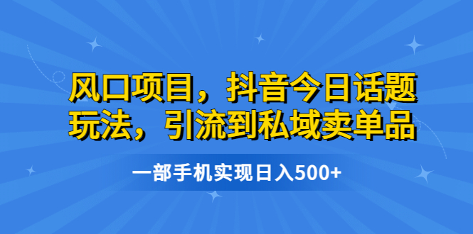 【百度网盘】风口项目，抖音今日话题玩法，引流到私域卖单品，一部手机实现日入500+-无双资源网