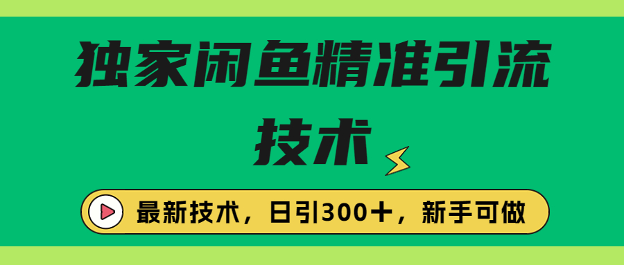 【百度网盘】独家闲鱼引流技术，日引300＋实战玩法-无双资源网