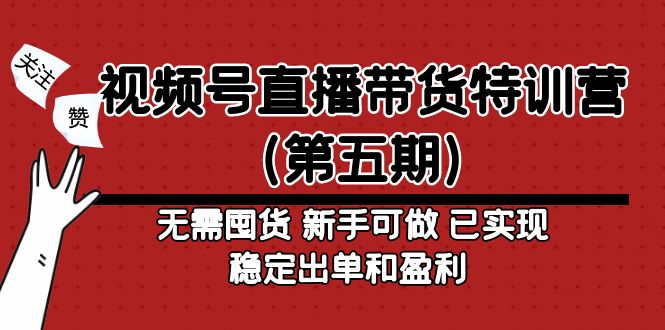 视频号直播带货特训营（第五期）无需囤货 新手可做 已实现稳定出单和盈利-无双资源网